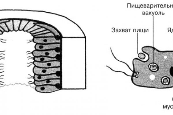 Kraken адрес onion