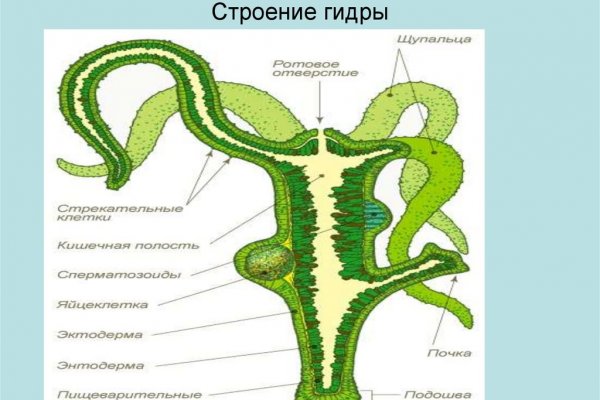 Как восстановить доступ к аккаунту кракен