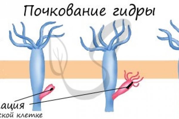 Kraken адрес onion